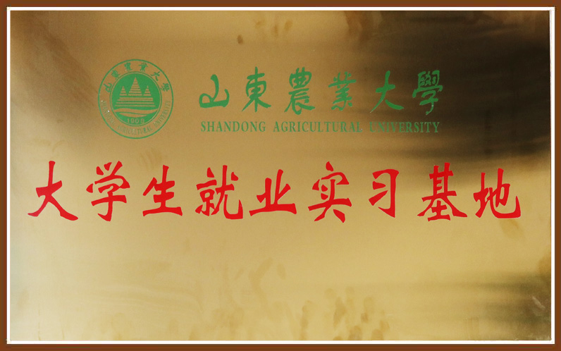 尊龙·凯时(官网)人生就是博!