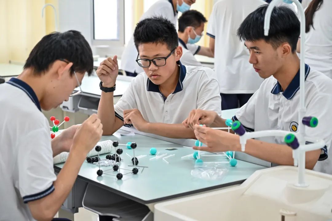 尊龙·凯时(官网)人生就是博!