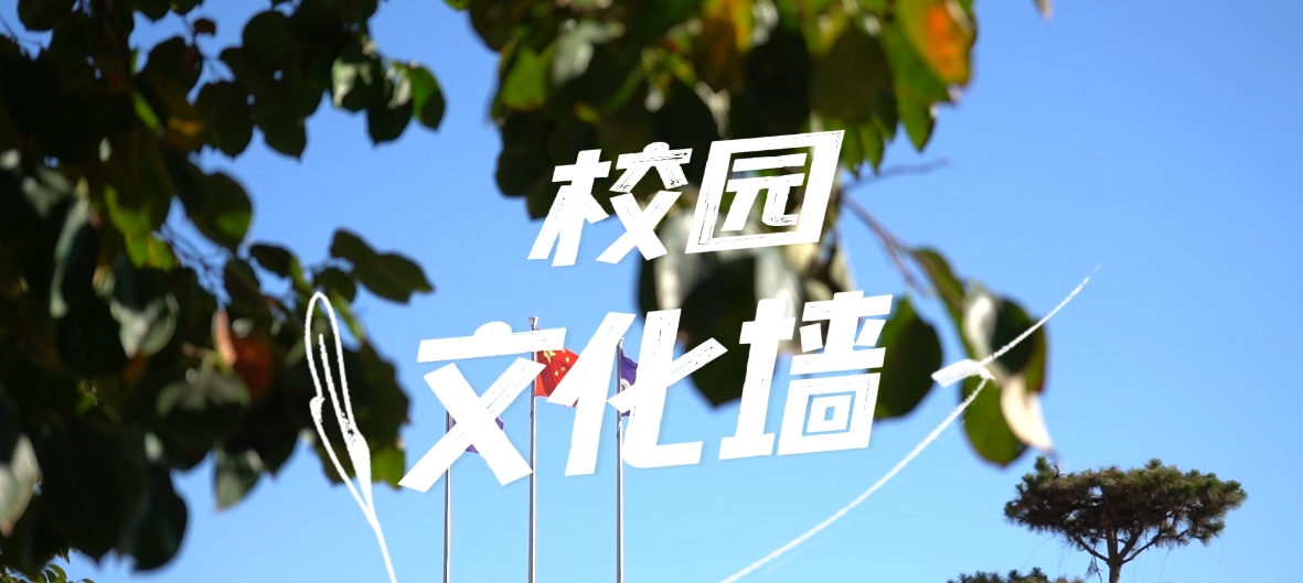 尊龙·凯时(官网)人生就是博!