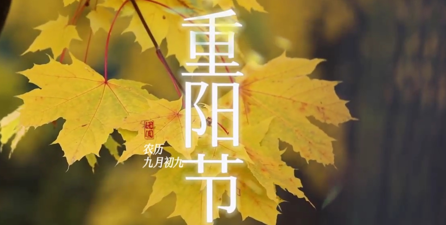 尊龙·凯时(官网)人生就是博!