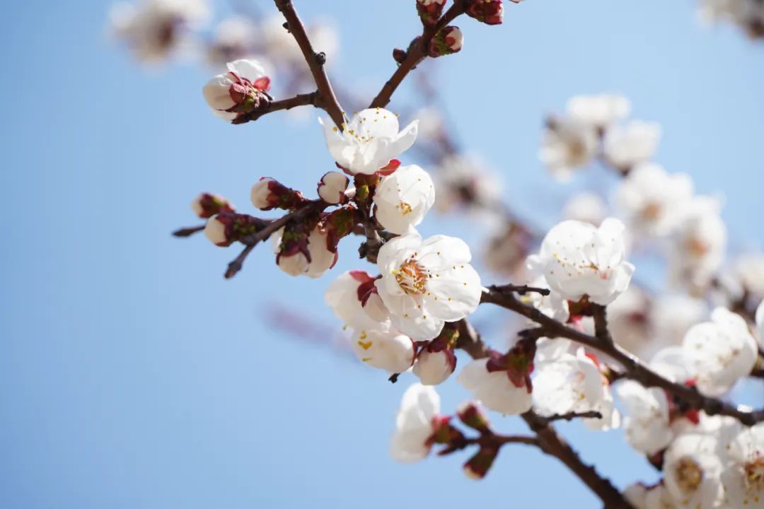 尊龙·凯时(官网)人生就是博!