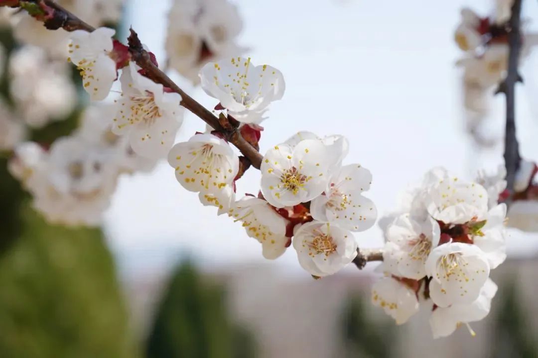 尊龙·凯时(官网)人生就是博!