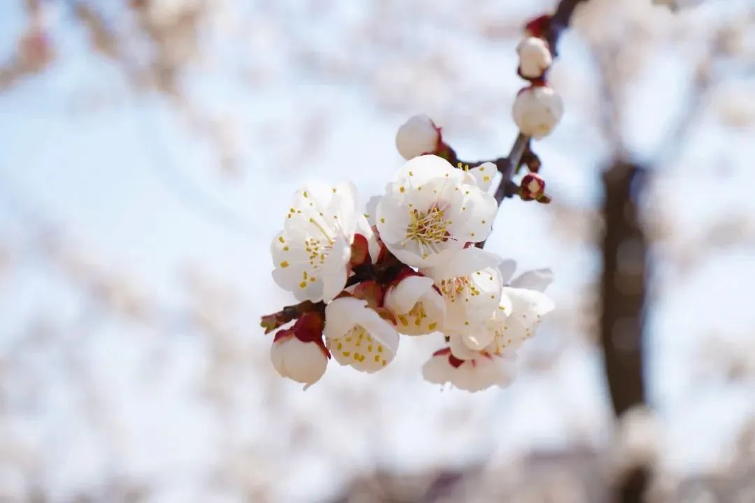 尊龙·凯时(官网)人生就是博!