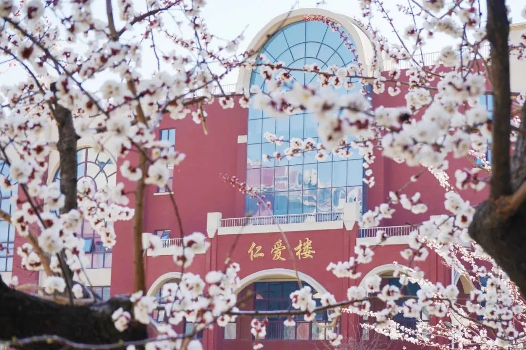 尊龙·凯时(官网)人生就是博!