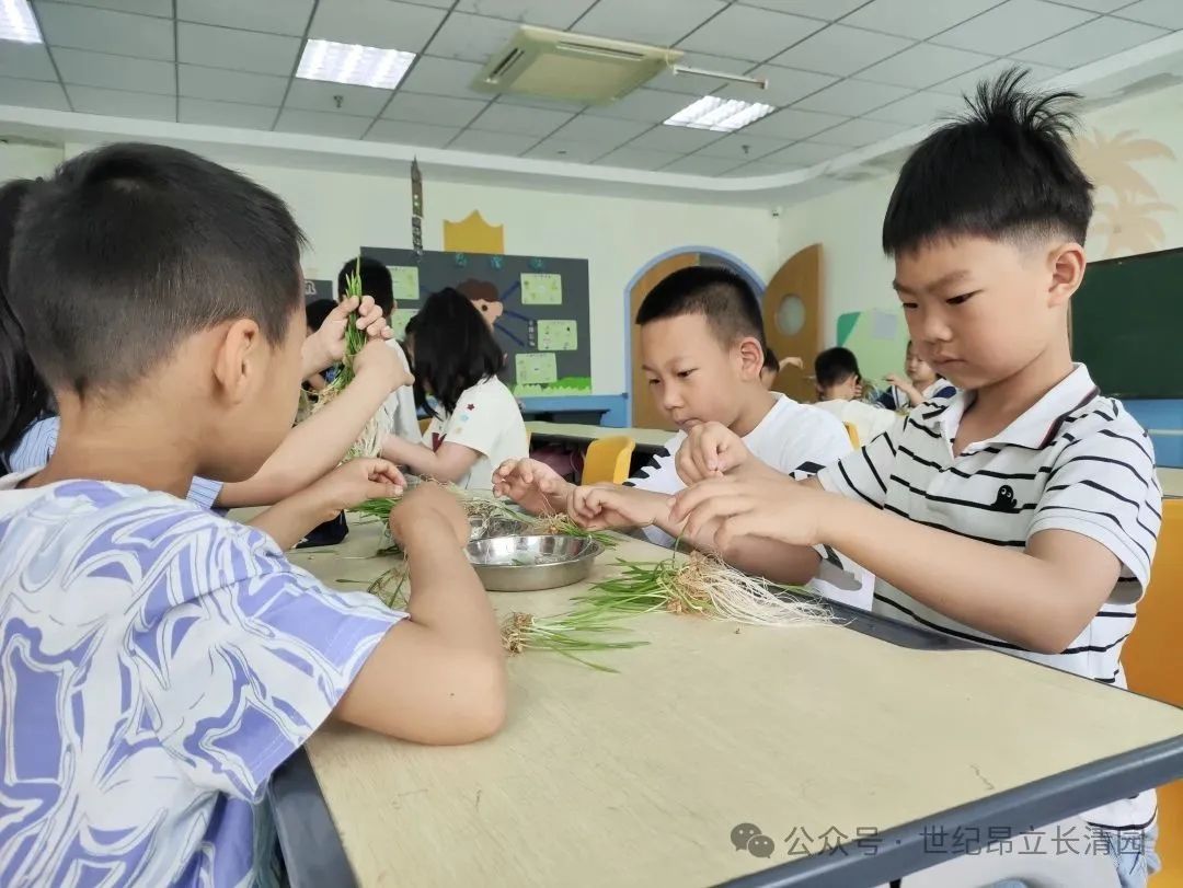 尊龙·凯时(官网)人生就是博!