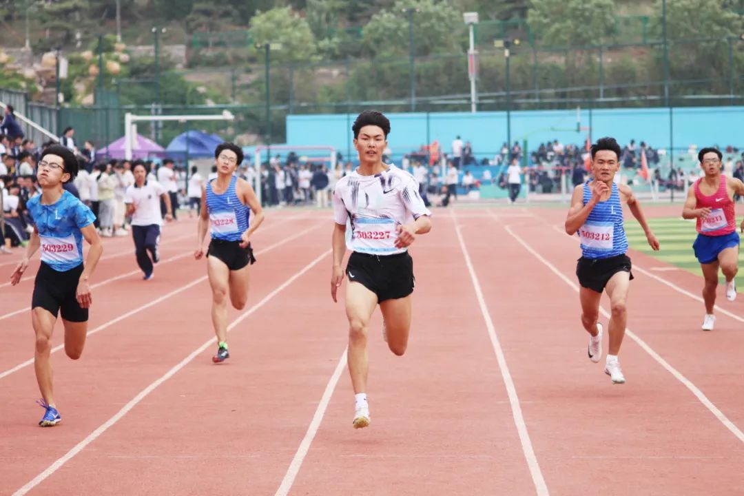 尊龙·凯时(官网)人生就是博!