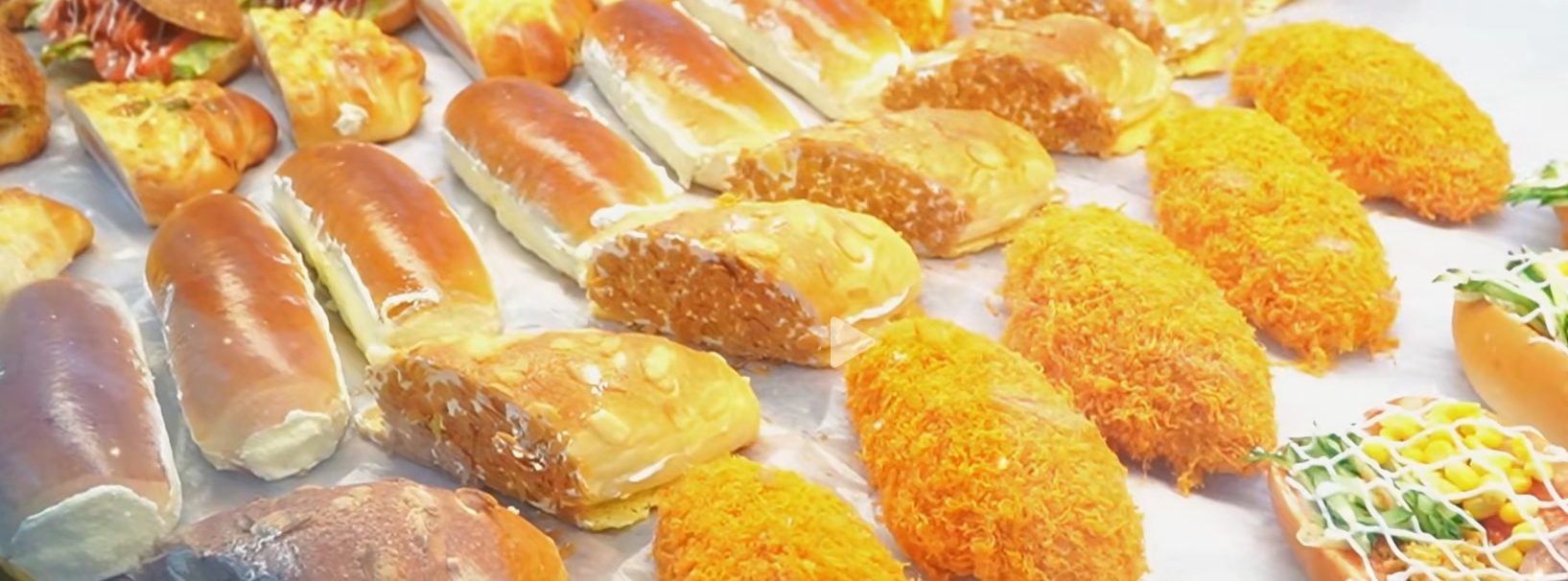 尊龙·凯时(官网)人生就是博!