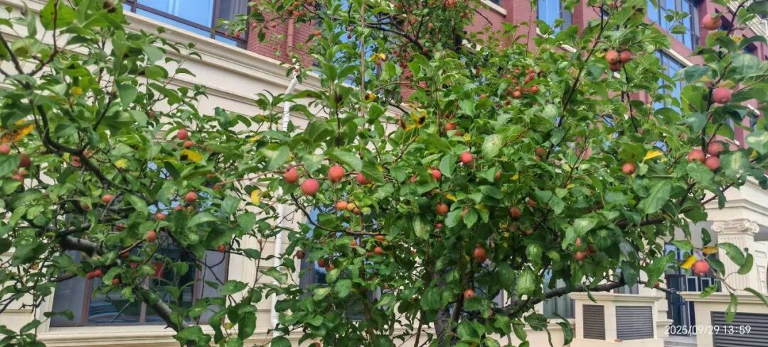 尊龙·凯时(官网)人生就是博!