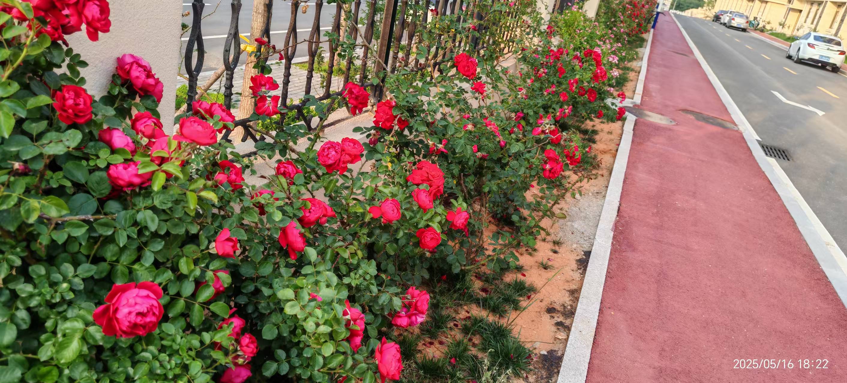 尊龙·凯时(官网)人生就是博!