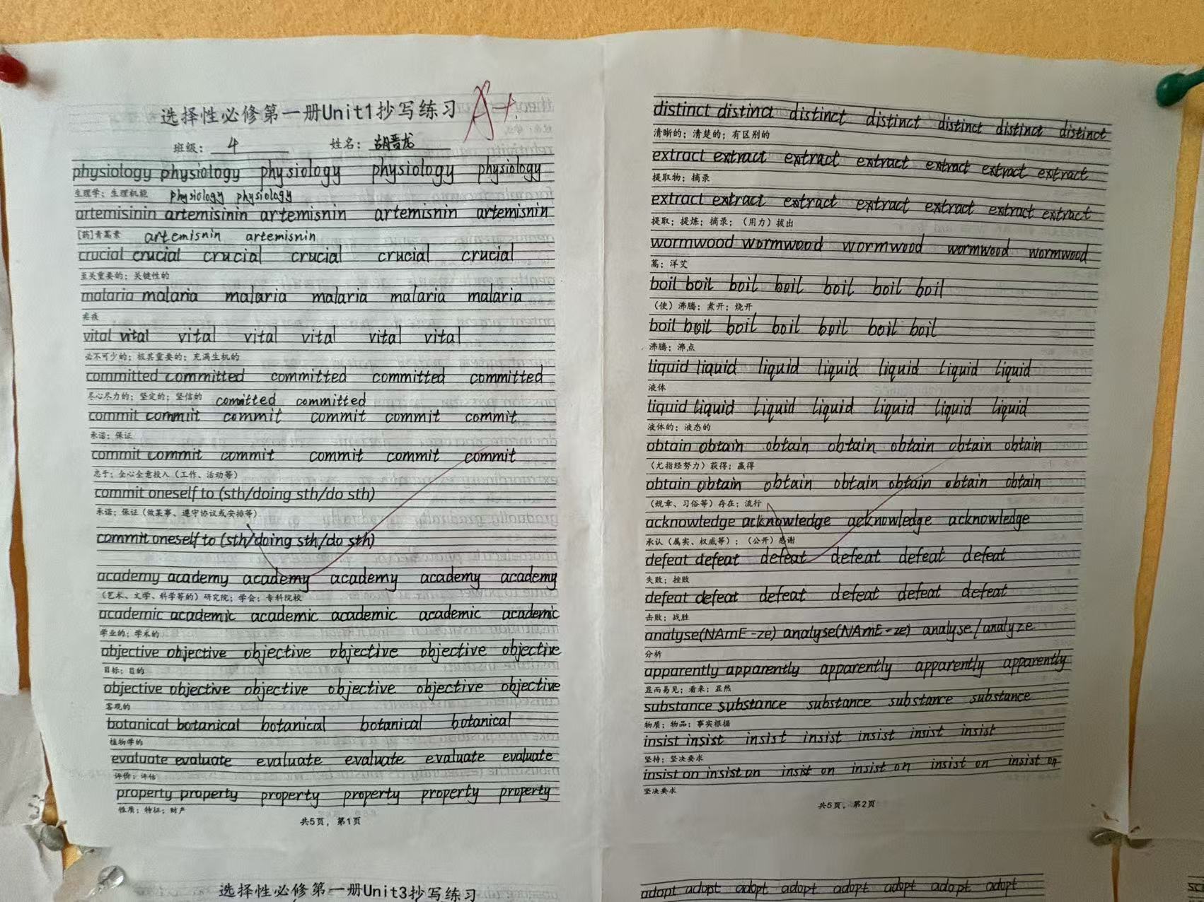 尊龙·凯时(官网)人生就是博!