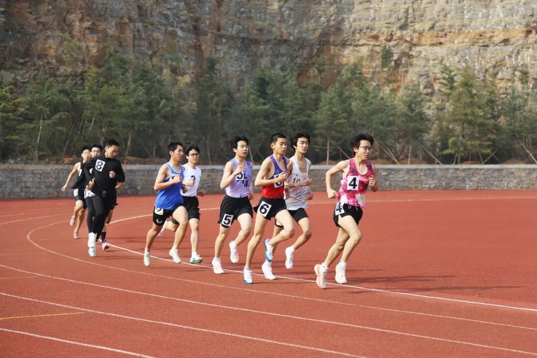 尊龙·凯时(官网)人生就是博!